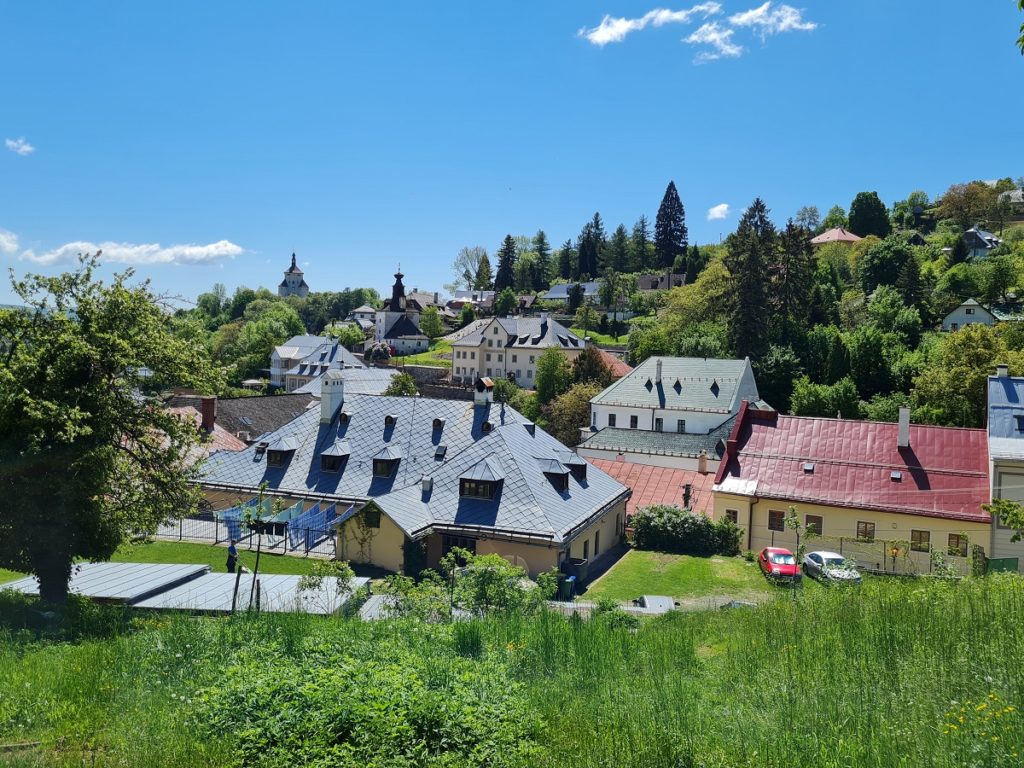 View from the garden